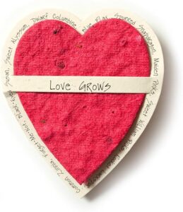Red Heart-Shaped Seed Paper Valentine's Day Card 